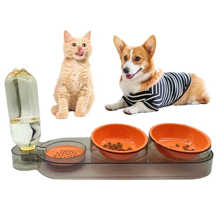 التصميم المهني Cat Dog Food Fooding Bowl Peter Peter